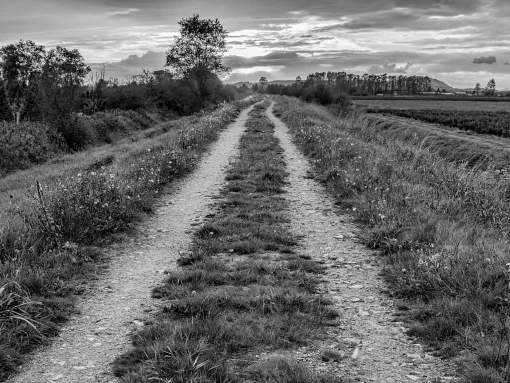 Coach Road Capital Investor, Developer, Manager